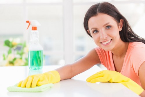 Professional carpet cleaning in a Muswell Hill home in N10
