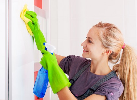 Local regular cleaning service for homes in N10