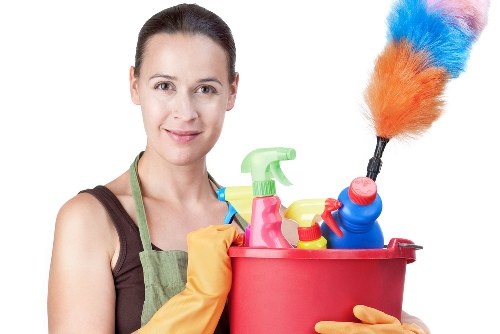 Deep cleaning service for a home in N10 with detailed kitchen and living area care