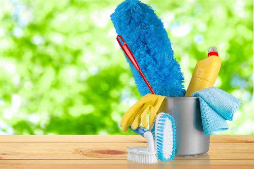 Carpet cleaning team working in a professional ethical services setting