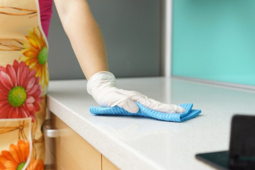 Secure payment checkout for Carpet Cleaners N10 with card and PayPal options