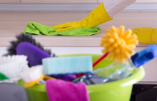 Professional deep cleaning process for N10 homes and commercial properties