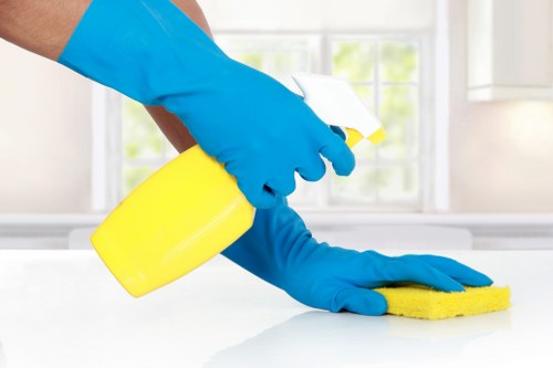 House cleaning checklist and tidy home interior for customers in N10