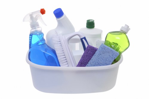 Local N10 deep cleaning team handling bathrooms, surfaces, and fixtures