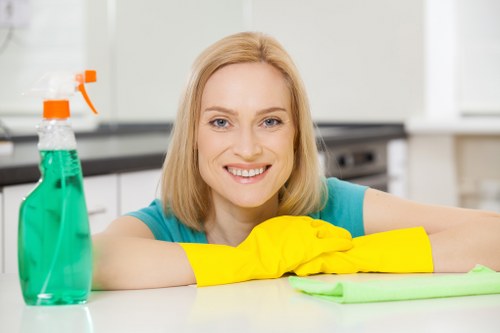 Hot water extraction cleaning for carpets in a Muswell Hill area property