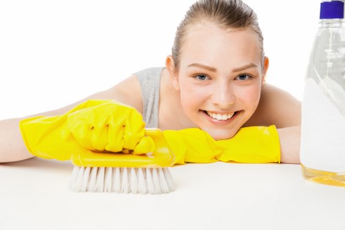 Accessible carpet cleaning website for N10 users