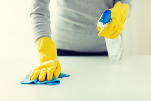 Local carpet cleaning service in N10 assessing carpet care needs