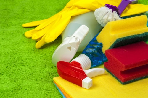 Pet stain and odour removal for a mattress in a North London property