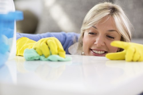 Deep oven cleaning for a home kitchen in N10 with careful attention to detail