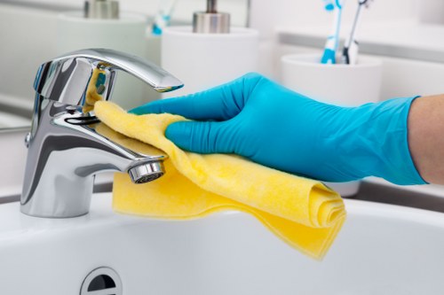 Regular cleaning support for apartments and houses in N10