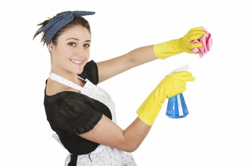 Routine office cleaning for a local business in N10