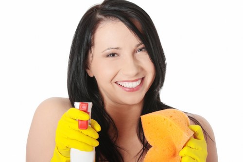 Trusted carpet cleaning team in N10 focusing on quality standards